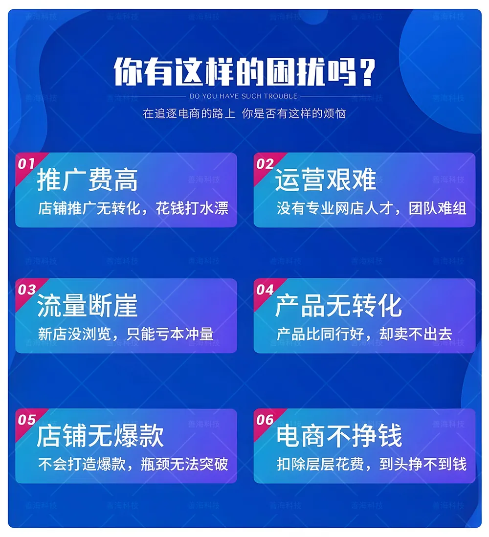 专业电商代运营解决流量断崖、无转化、盈利难痛点：善海科技通过精细化推广策略，助力店铺提升转化率与整体利润。